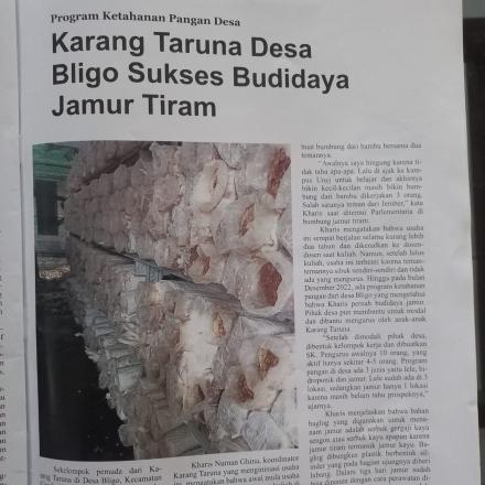 PRODUK UNGGULAN DESA PROGRAM KETAHANAN PANGAN DESA - JAMUR TIRAM